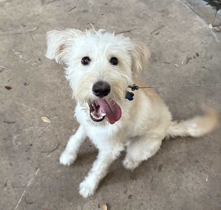 Photo of Donut