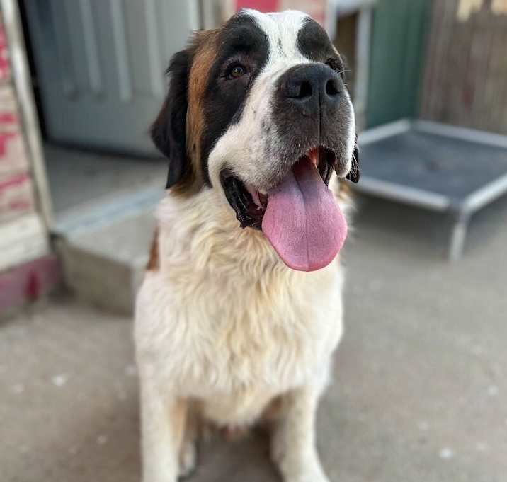 Photo of Wyatt