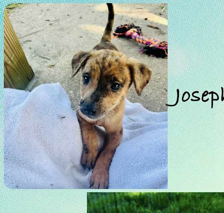 Photo of Joseph