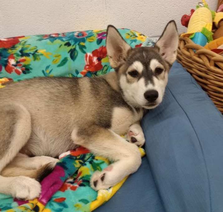 Photo of Nicklaus