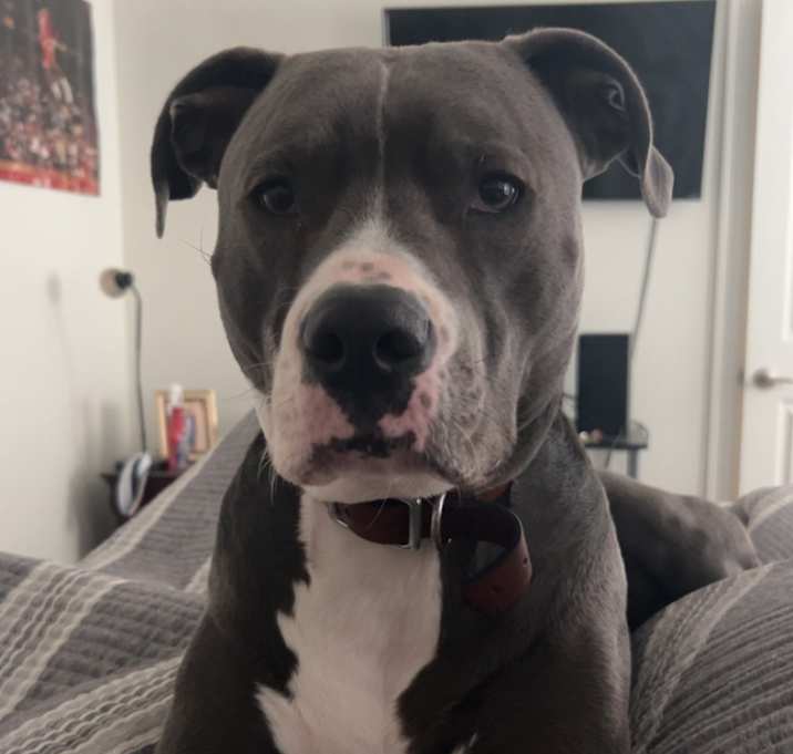 Photo of Deuce