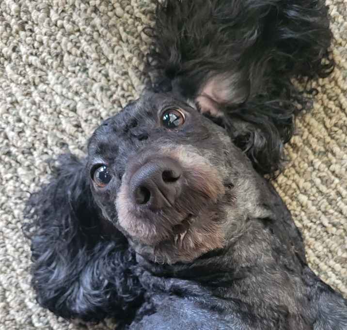 Photo of Tiago