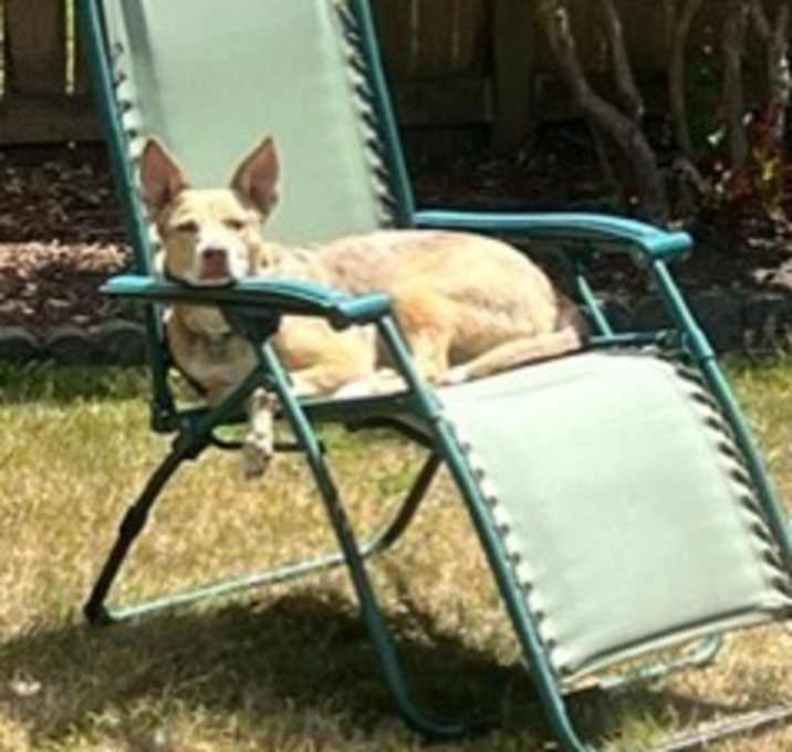 Photo of Sadie