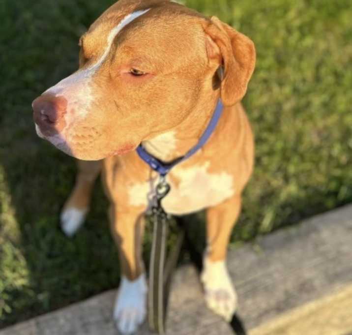Photo of Theodore