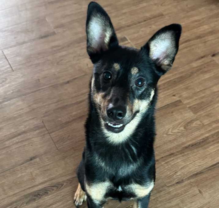 Photo of Kuku