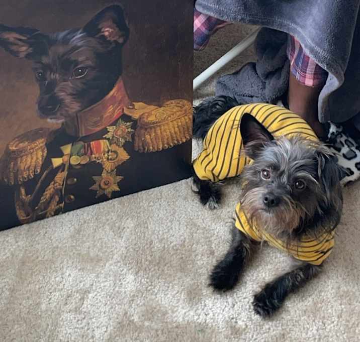 Photo of Teddy
