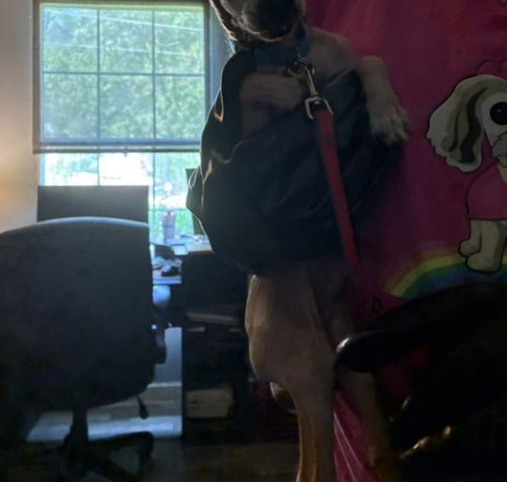 Photo of Phil