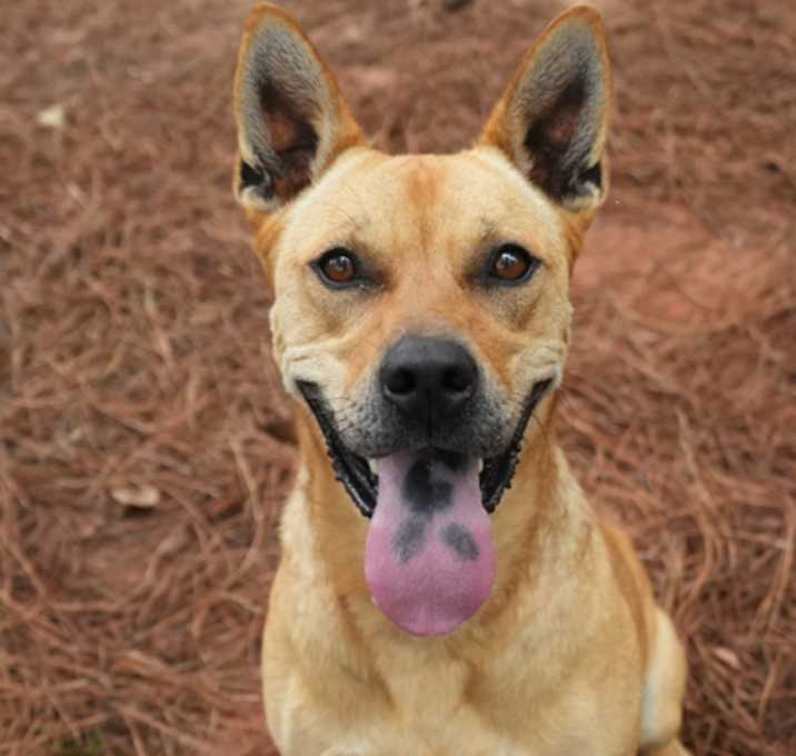 Photo of Joy 48764