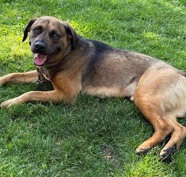 Photo of Rusty (Long-Timer) $250