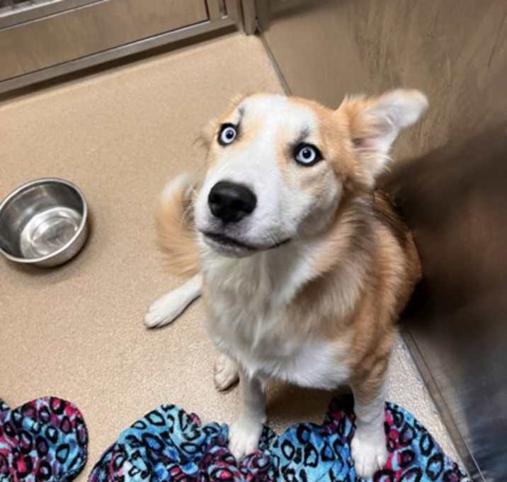 Photo of Luna
