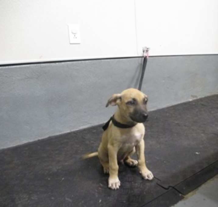 Photo of Lex