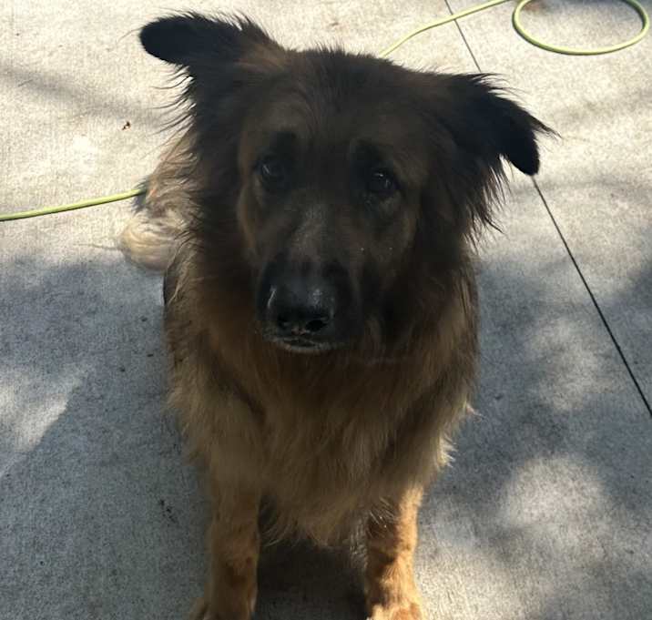 Photo of Smoke
