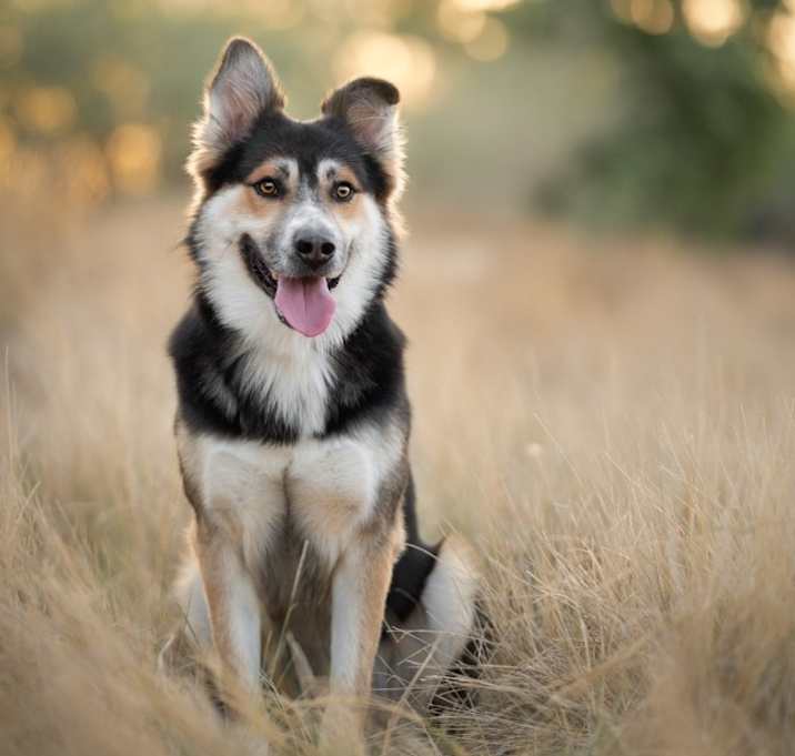 Photo of Luca