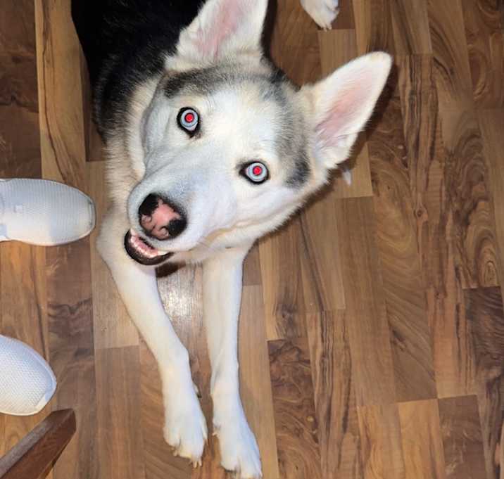 Photo of Jäger