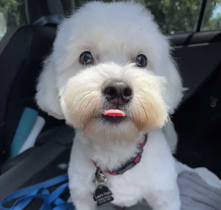 Photo of Armani