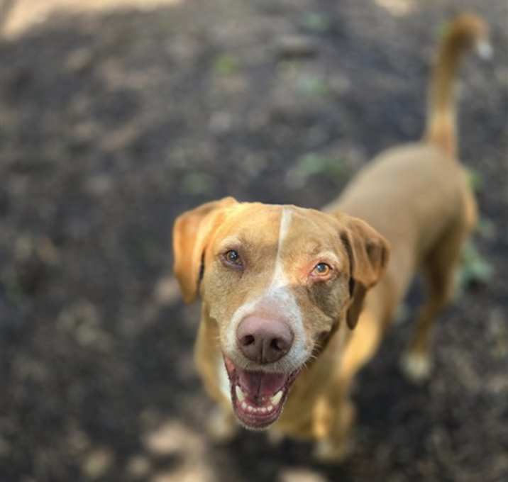 Photo of KOPPER