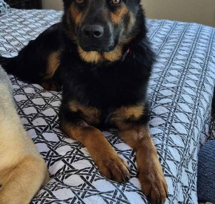Photo of Mercedes aka Kit