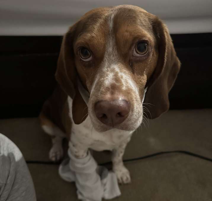 Photo of Eli