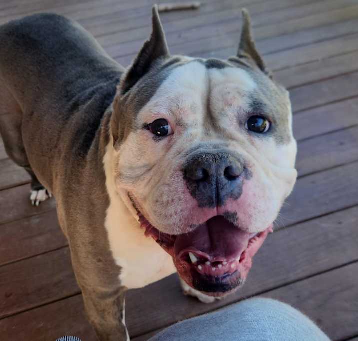 Photo of Squish
