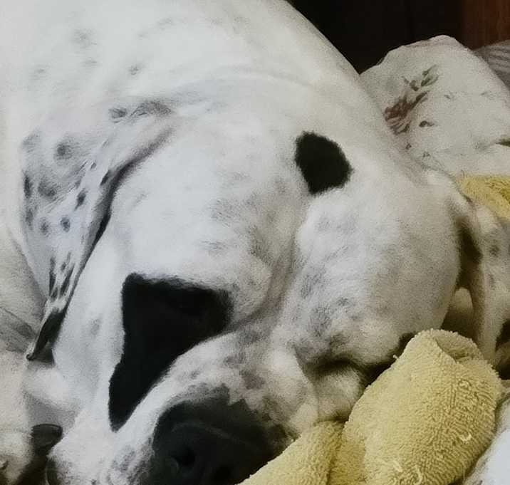 Photo of Rita