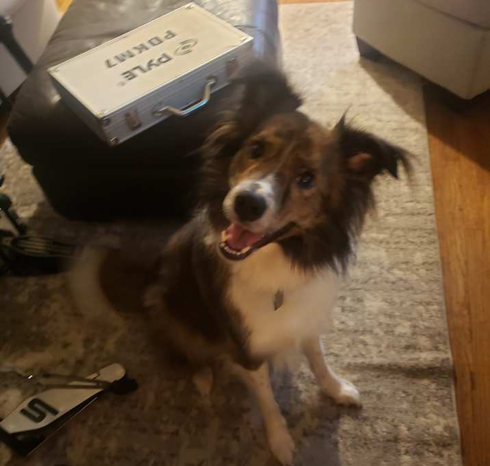 Photo of Renly