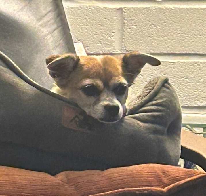 Photo of Hazel