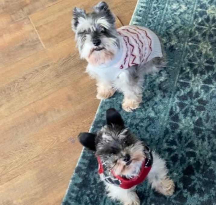 Photo of Bella and Cali