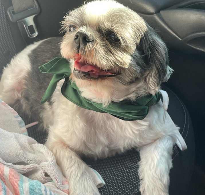 Photo of Ella