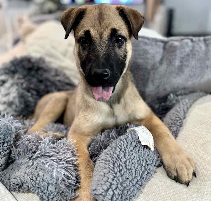 Kaiser Photo #1