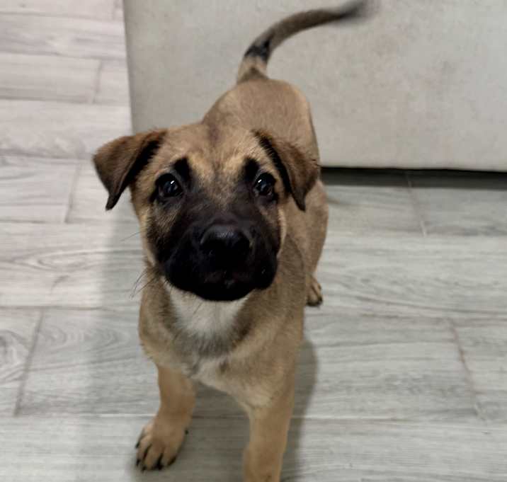 Kaiser Photo #2