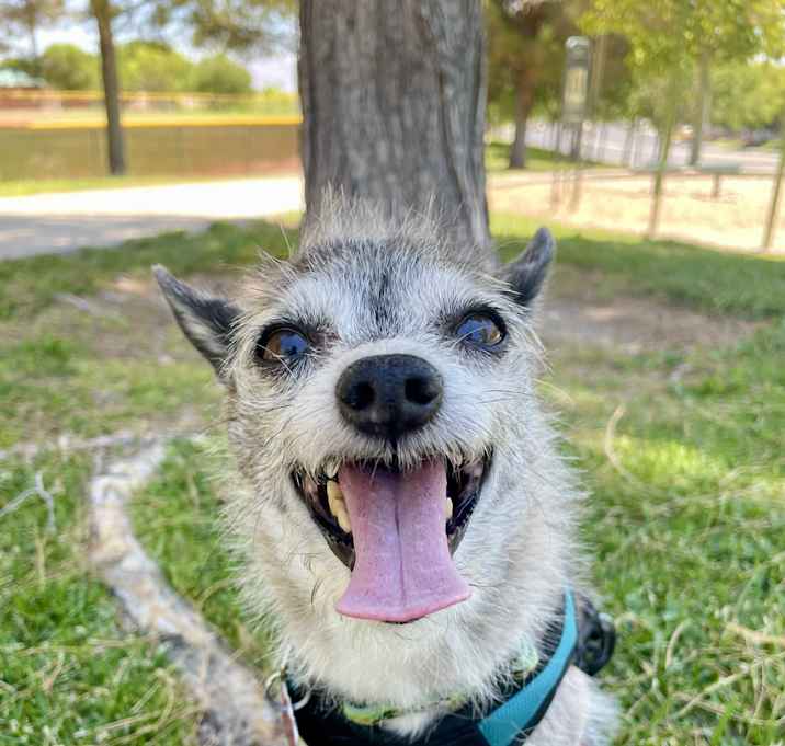 Jack Jack Photo #1