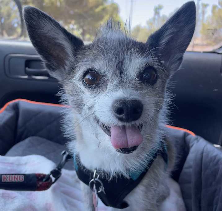 Jack Jack Photo #3