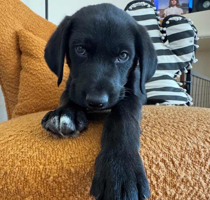 Theodore Photo #1