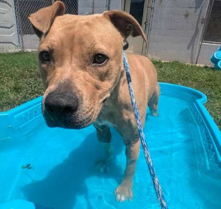 Photo of Ranger