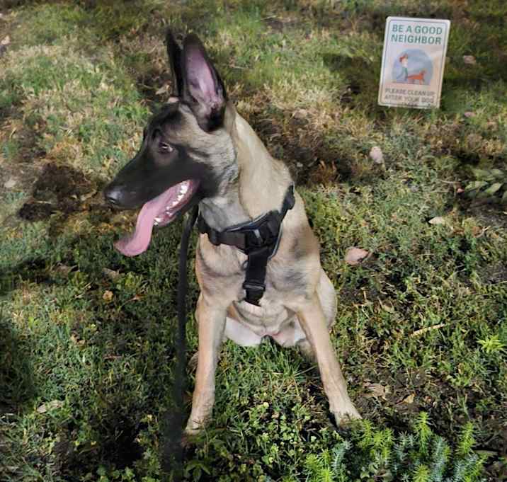 Photo of Lola