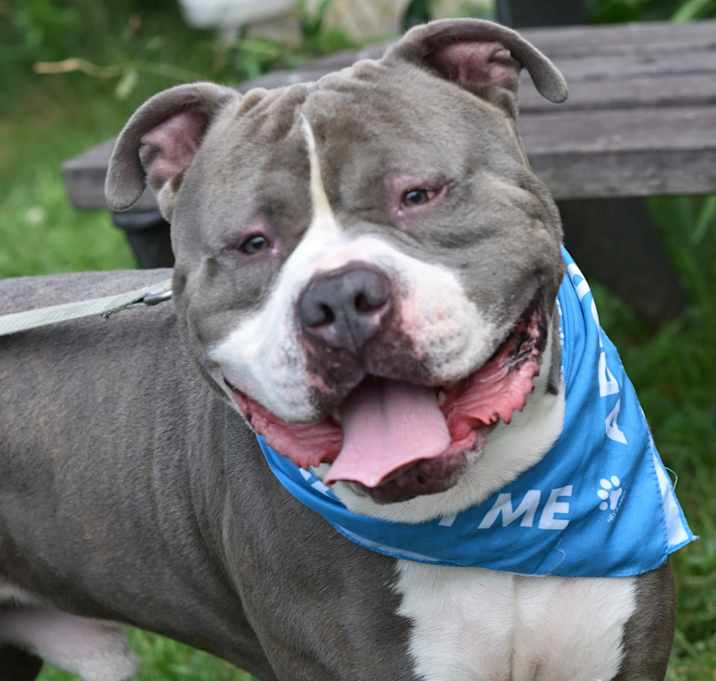 Photo of Junior