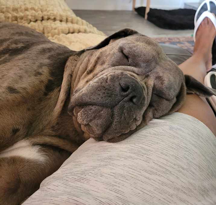 Photo of Fiona