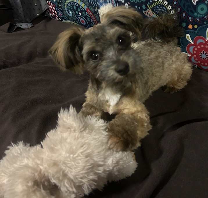 Photo of Maggie