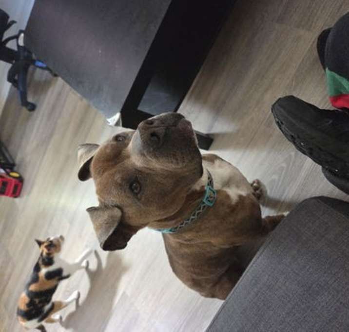 Photo of Zeus