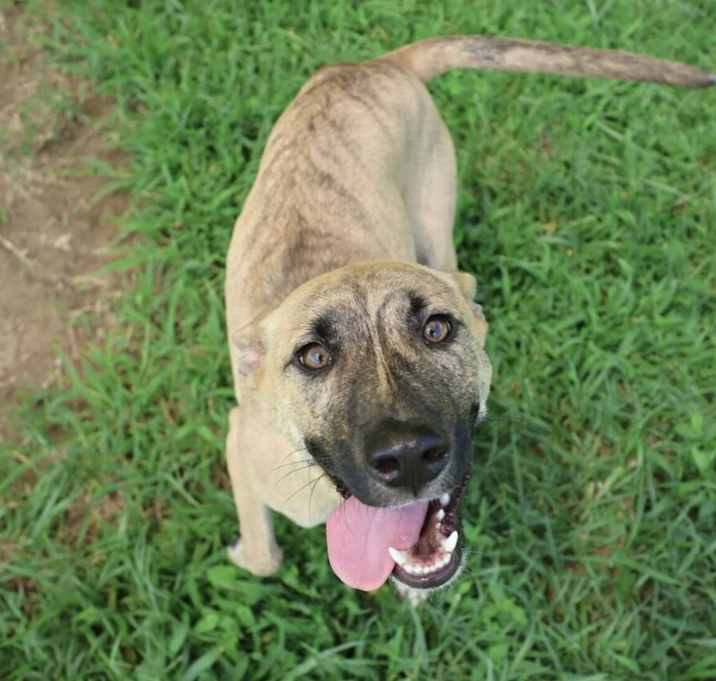 Photo of Coco
