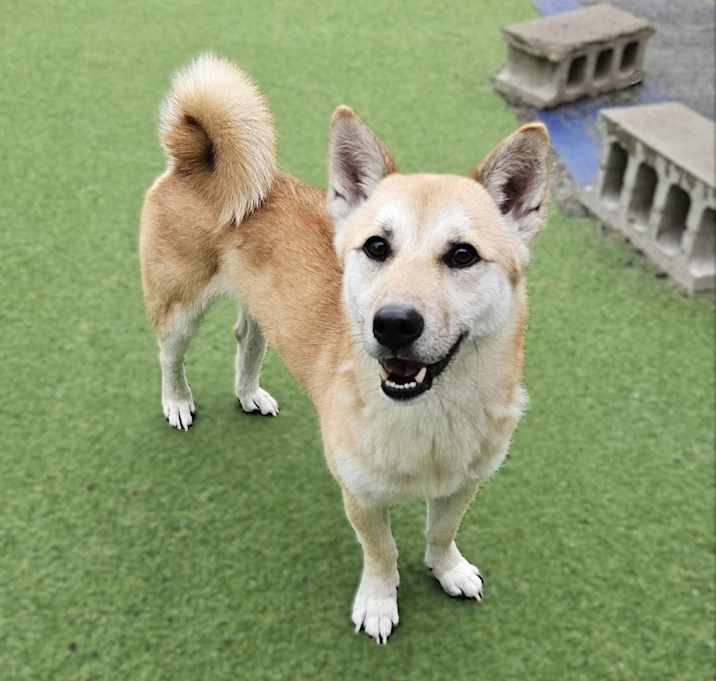 Photo of Namdong (HDS)