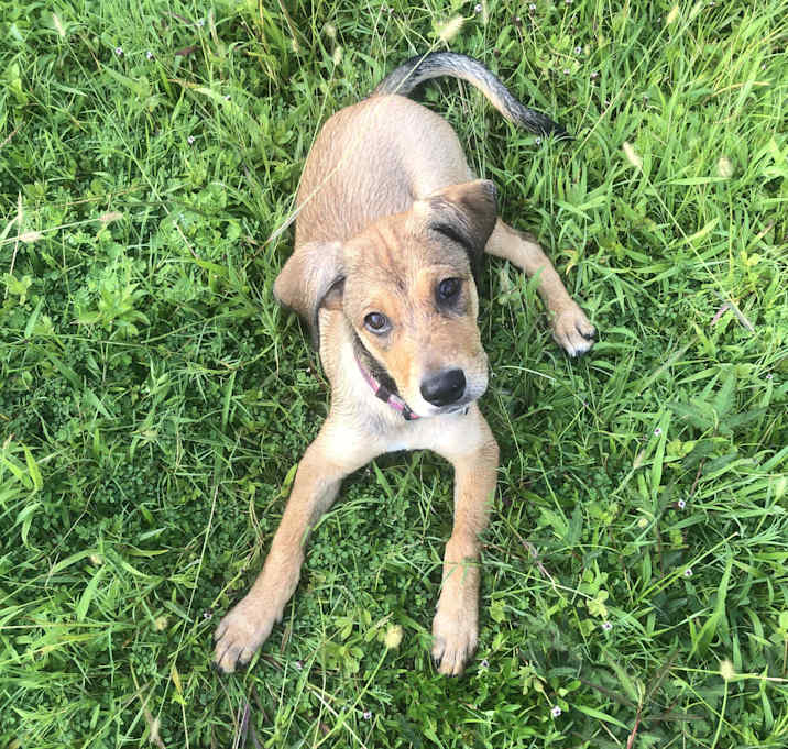 Photo of Charlie