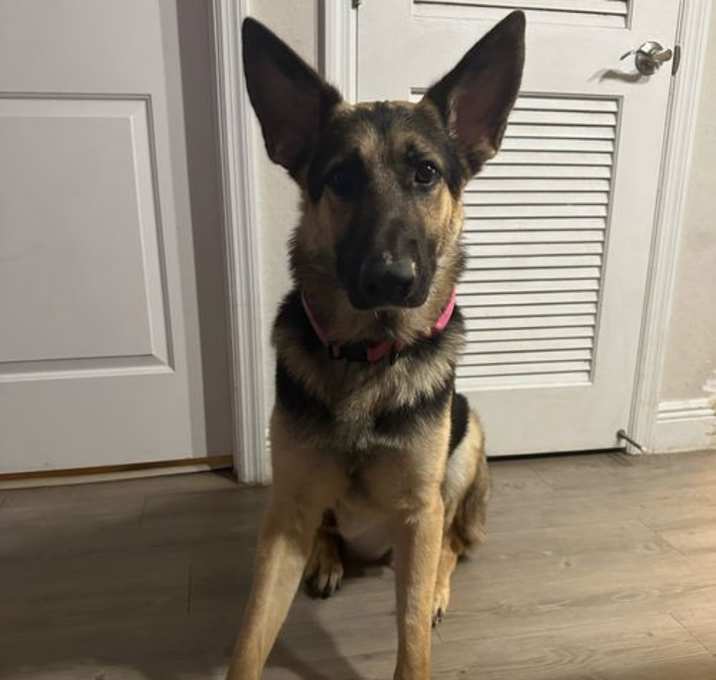 Photo of Zeus 3122