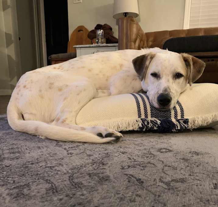 Photo of Millie