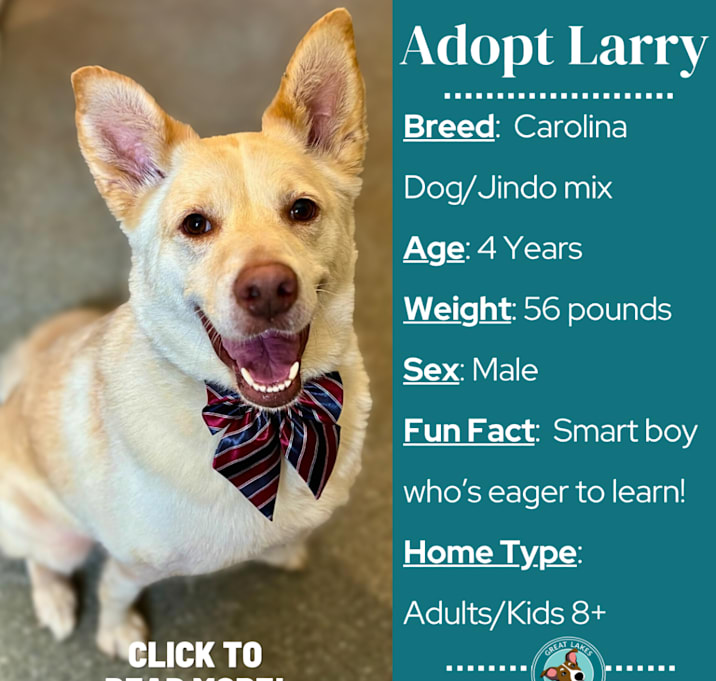 Photo of Larry (Lawnmower)
