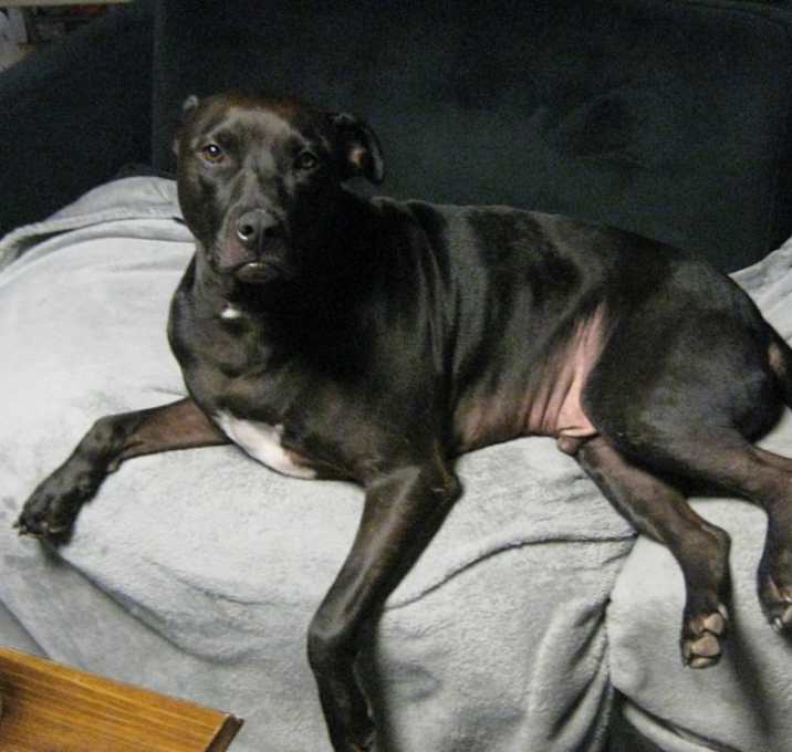 Photo of Ranger