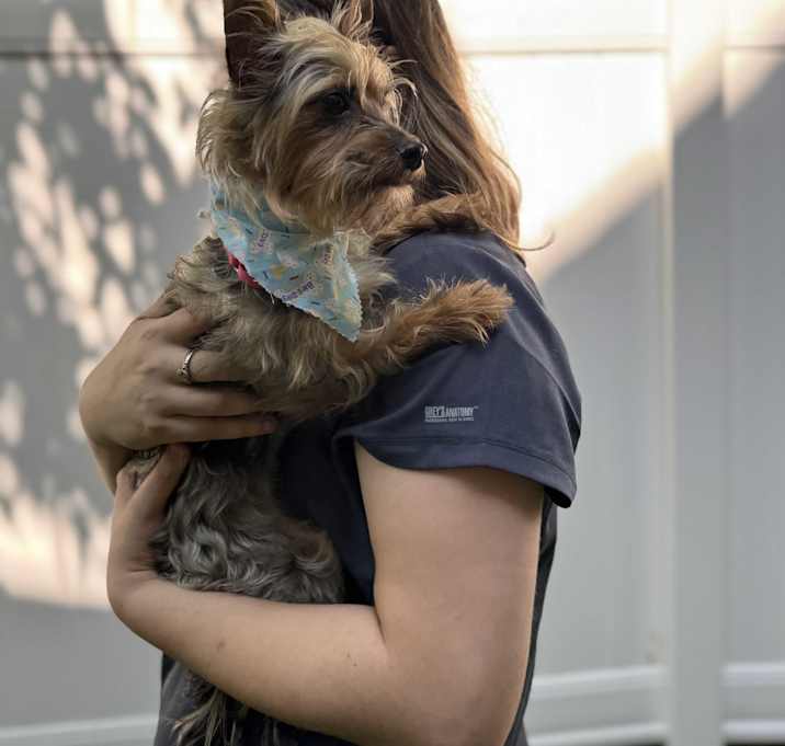 Photo of Lulu Belle