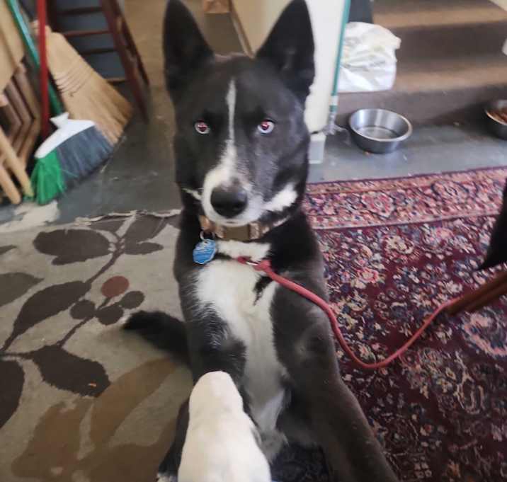 Photo of Kaiser
