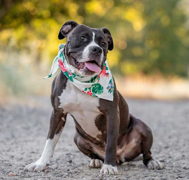 Photo of Laney