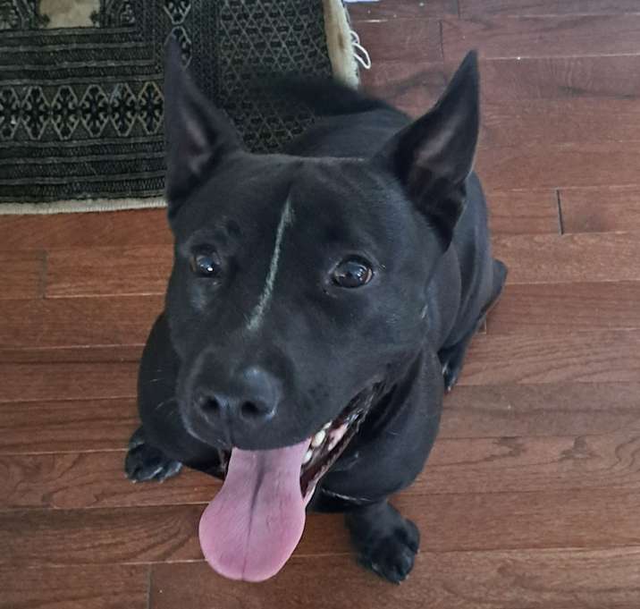 Photo of Lucy
